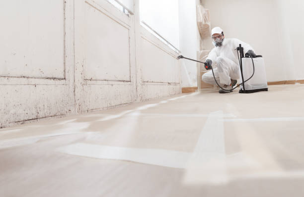 24/7 Emergency Mold Remediation experts in Cresson, TX